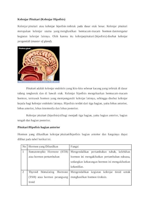 (DOCX) Kelenjar Pituitari - DOKUMEN.TIPS