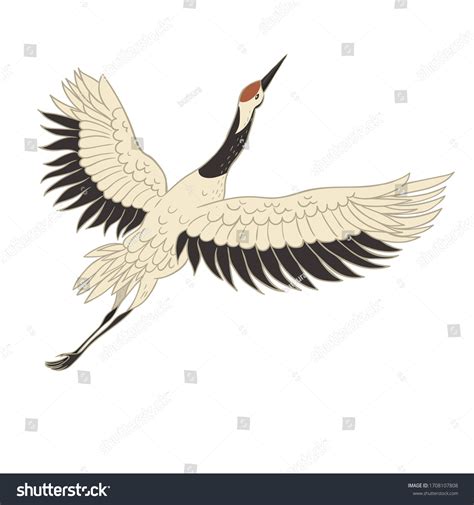 Japanese Crane Bird Isolate On White Stock Vector (Royalty Free) 1708107808 | Shutterstock