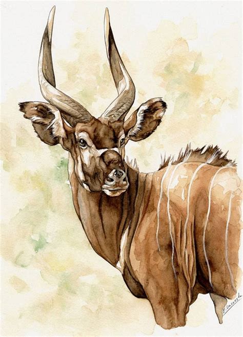 Image result for enrique lacuesta | Animal illustration art, Wildlife paintings, Art tutorials ...