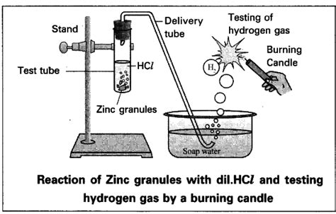 Write an activity to show the reaction of acids with metals - CBSE ...