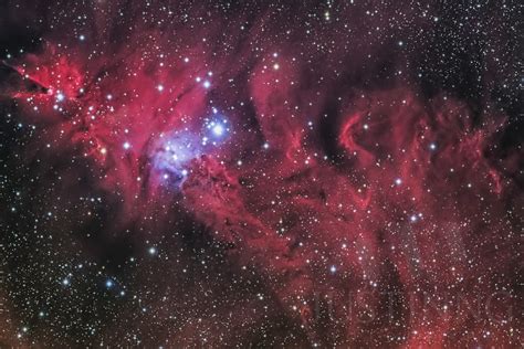 25 December 2015 – Cone Nebula (NGC2264) | High Quality Original Milky Way Astrophotography ...