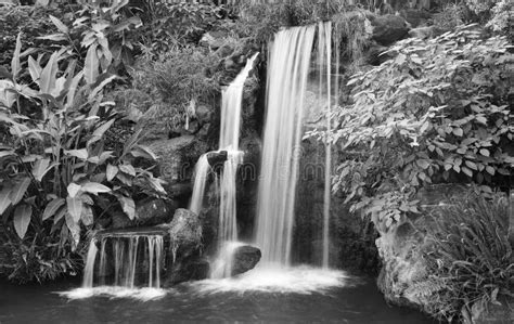 Black And White Waterfall Stock Photos - Image: 7164443