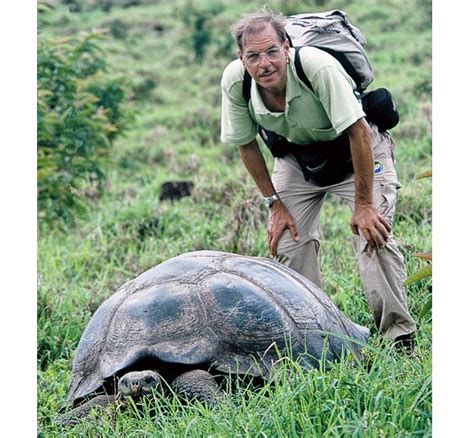 Pinta Island Tortoise-Recently Extinct Animals