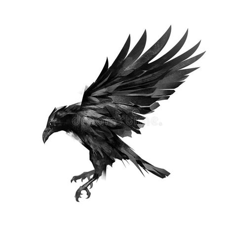 Image result for raven flying drawing | Raven flying, Crow tattoo ...