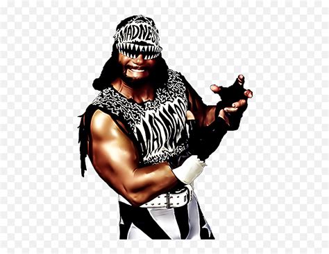 Macho Man Nwo Png - Macho Man Randy Savage Nwo Png,Nwo Png - free transparent png images ...