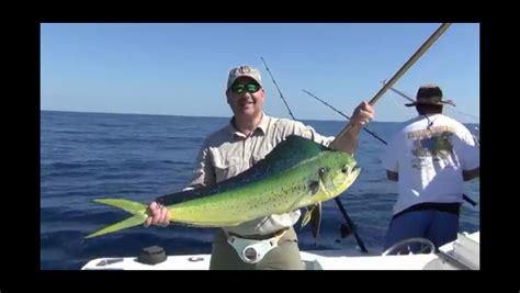 Mahi-Mahi Fishing Tips | Dolphin Fish | Port Canaveral & Cocoa