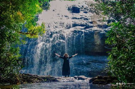 Places to Visit in Idukki - Anayadikuthu Waterfalls - Thommankuthu Idukki