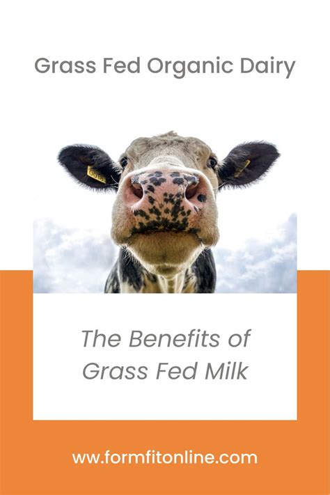 Benefits of Grass Fed Milk