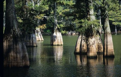 East Texas Attractions