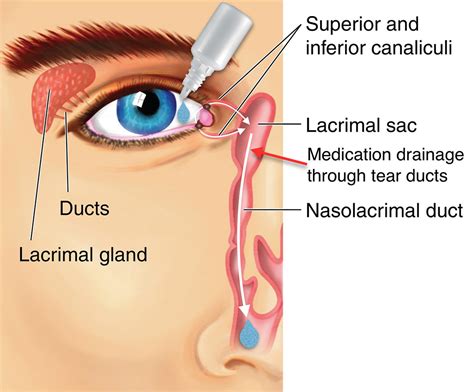 Eye Drops Nasolacrimal Dust copy - Fort Worth Eye Associates