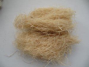 Organic bamboo fiber manufacturing - Bambus Technology Network