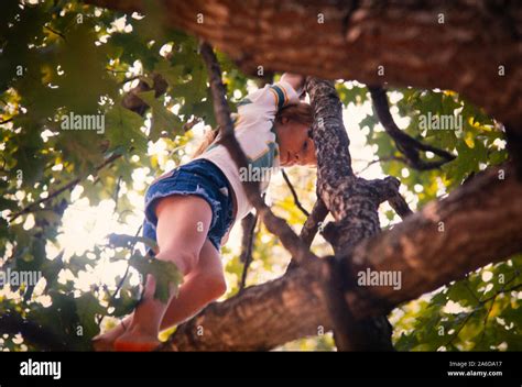 Amy Carter, daughter of President Jimmy Carter, climbs a tree at the ...