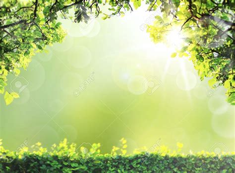 natural green Spring or summer season abstract nature background ...