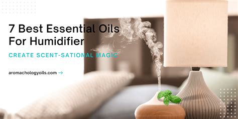 Best Essential Oils for Humidifier - Aromachology Oils - Aromachology Oils