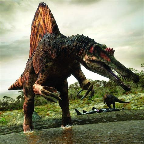 Spinosaurus dinosaur was 'enormous river-monster', researchers say ...