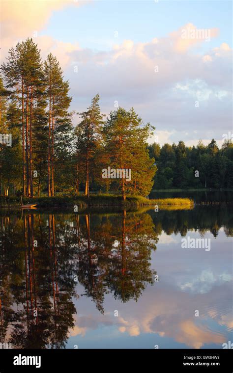 Beautiful sunset over the lake and dark forest Stock Photo - Alamy