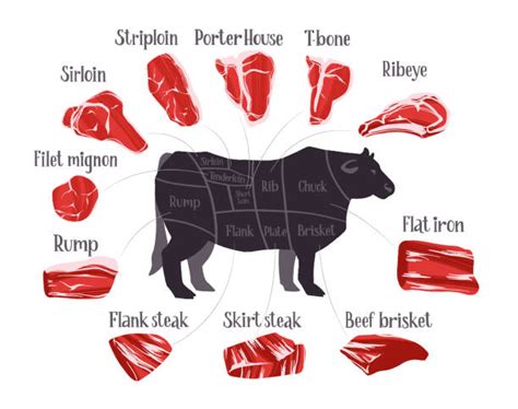 50+ Beef Cuts Chart Poster Stock Illustrations, Royalty-Free Vector ...