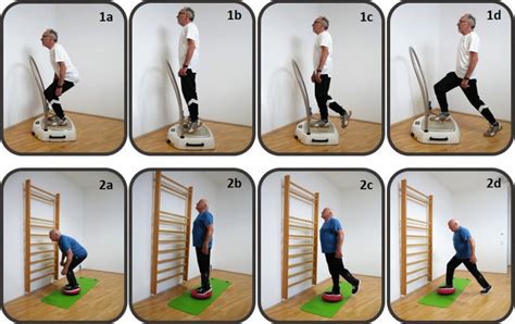 Exercises performed during whole-body vibration balance training. Whole... | Download Scientific ...