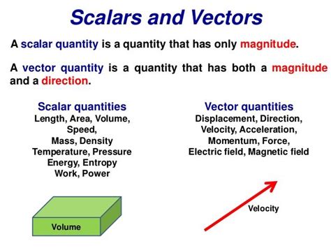 Velocity is Scalar or Vector - Connor Scott