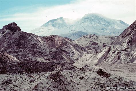 Image Gallery: Debris Avalanche | Mount St. Helens Science and Learning ...