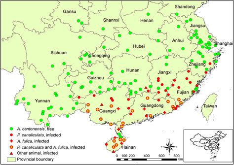 Occurrence of Angiostrongylus cantonensis according to hosts in ...