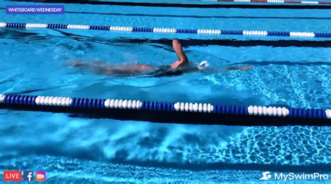 5 Freestyle Drills For Beginner Swimmers - MySwimPro