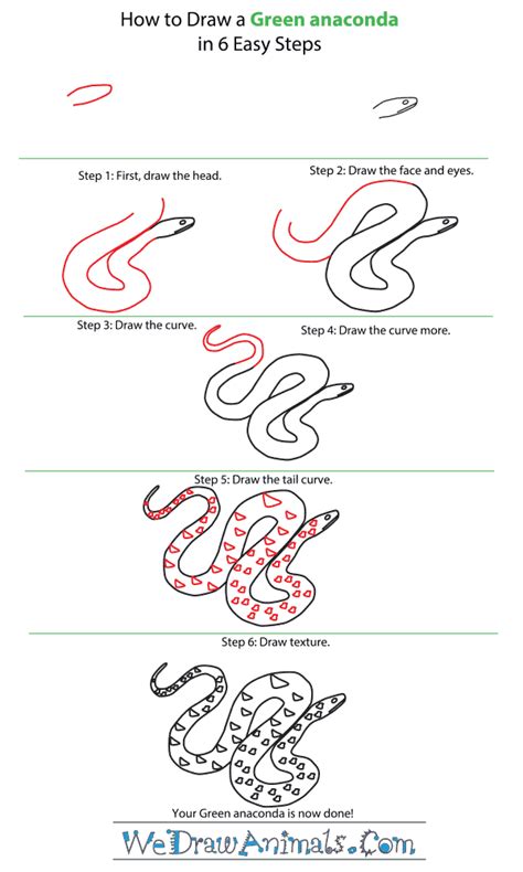 How to Draw a Green Anaconda