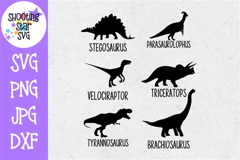 Dinosaur Icons SVG - Dinosaurs with Names SVG - Dinosaur SVG (384058) | Cut Files | Design Bundles