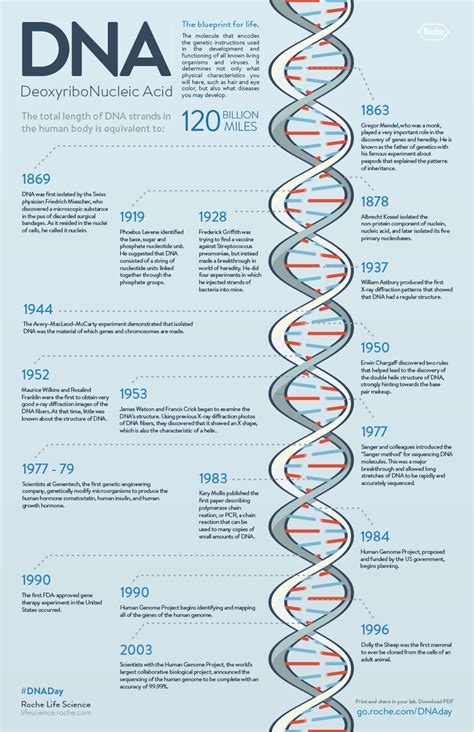 Download the DNA History Timeline | Roche Life Science | Dna history, Molecular biology, Biology