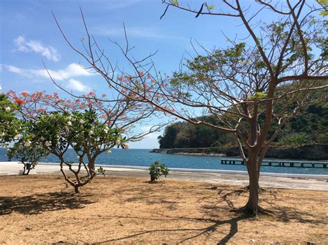 Corregidor Island | Places to visit, Island, Places