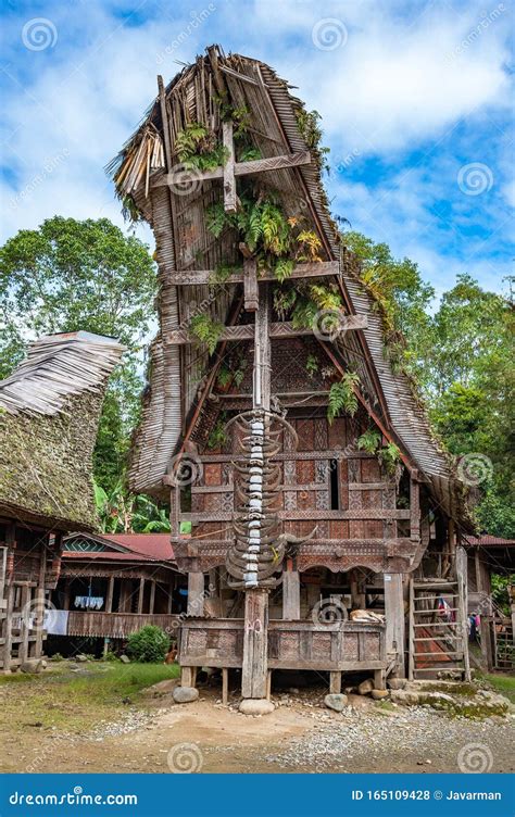 Tongkonan Houses, Traditional Torajan Buildings, Tana Toraja, Sulawesi ...