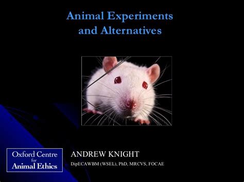 Animal Experiments and Alternatives