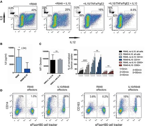 Frontiers | Re-expression of CD14 in Response to a Combined IL-10/TLR ...