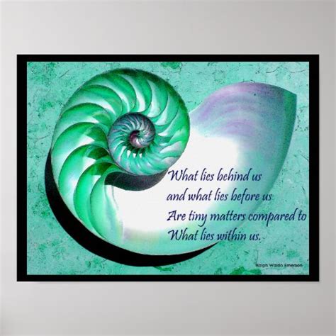 A01 Nautilus Shell Poster with Inspirational Quote | Zazzle