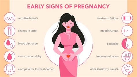 11 Early Pregnancy Signs and Symptoms Along With Care & Diet ...