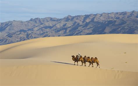 Gobi Desert Mongolia Itinerary from India: How to Reach, Other Attractions In Mongolia - Tripoto