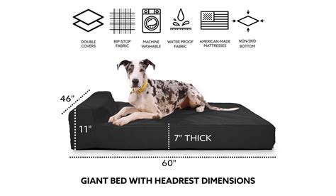 Large Dog Breed Bolster 7 inch Orthopedic Dog Bed – Best of Dog