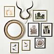 Kudu Antlers | Ballard Designs