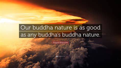 Sogyal Rinpoche Quote: “Our buddha nature is as good as any buddha’s buddha nature.”