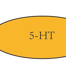 5-HT and psycho-cardiology diseases. | Download Scientific Diagram