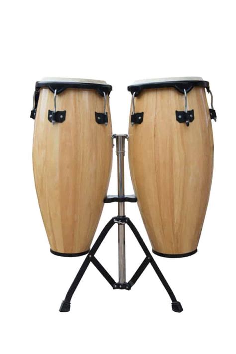 Types Of Bongo Drums | tunersread.com