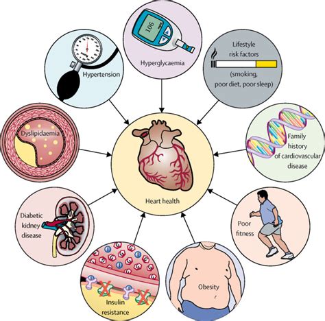 Youth Risk Factors That Affect Cardiovascular Fitness in Adulthood