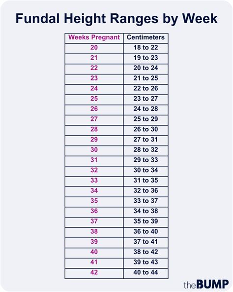 What Are Fundal Height Measurements in Pregnancy?