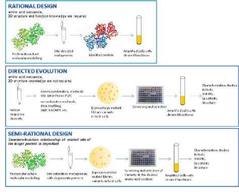 Figure 1 from Protein Engineering Applications on Industrially Important Enzymes: Candida ...