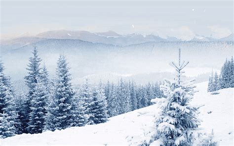 Animated Snowing Winter Scene Email Backgrounds | ID#: 23141 | EmailBackgrounds.com