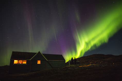 Dogsledding and northern lights in ilulissat