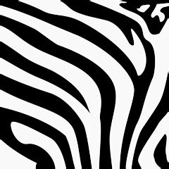 Dieren Zebra Gif » Animaatjes.nl