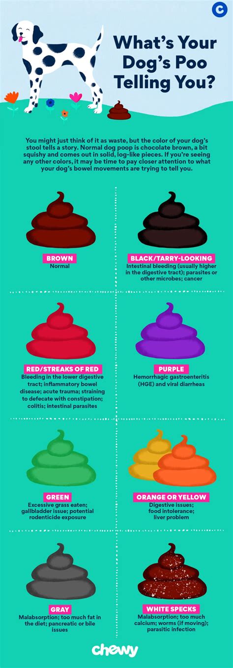 Dog Poop Color Chart: Is Your Dog's Poop Healthy? | BeChewy