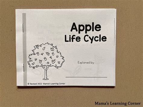 Apple Life Cycle Worksheets - Mamas Learning Corner