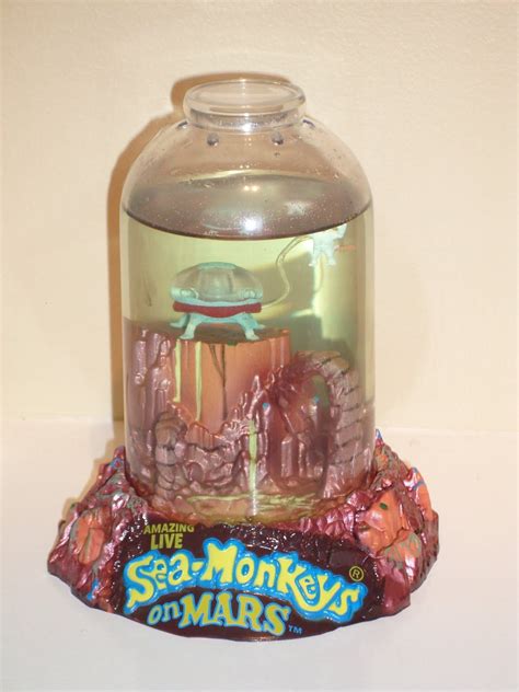 Sea Monkeys! | DimensionZ | Sea monkeys, Diy stuffed animals, Retro toys